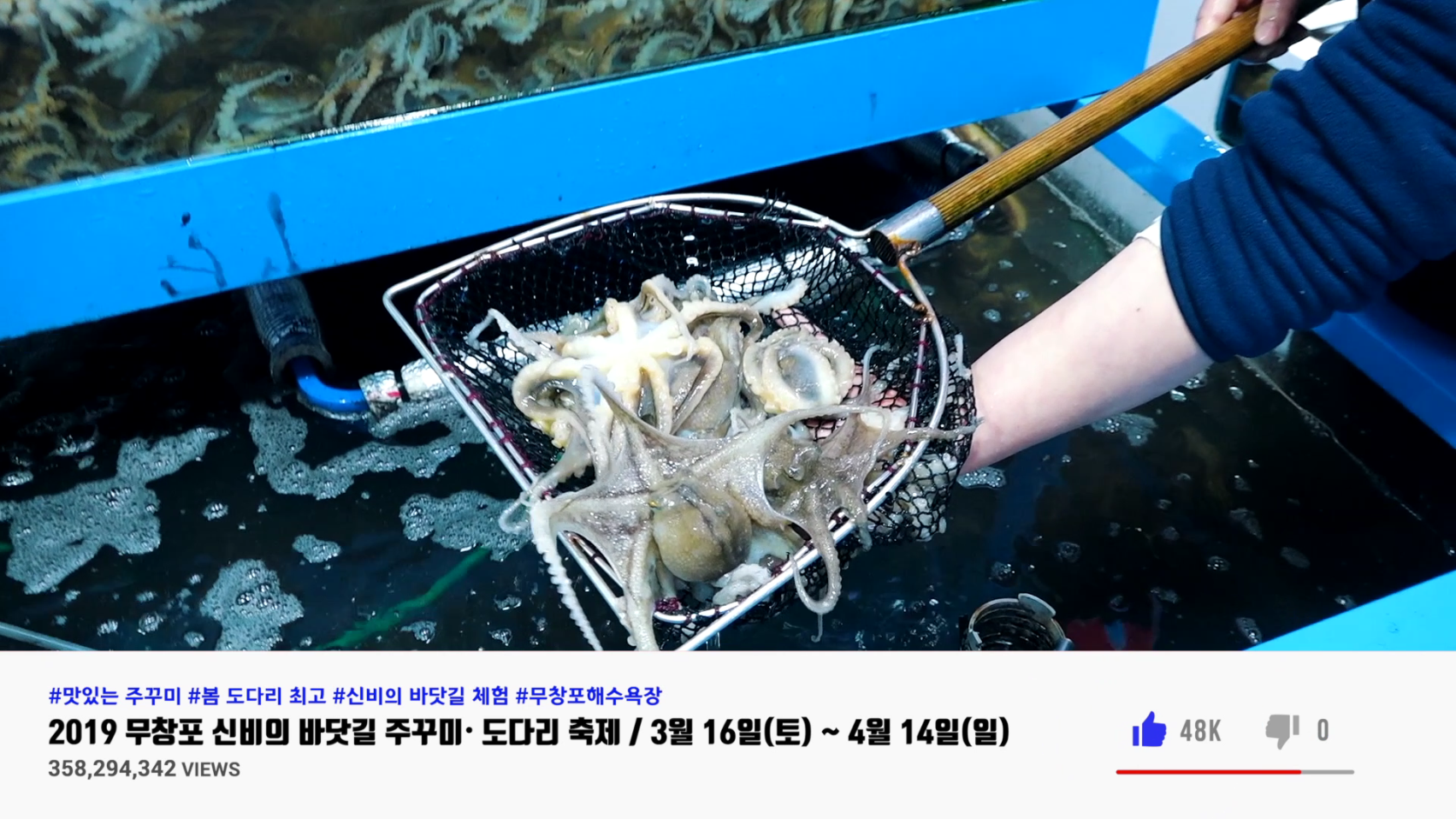 2019 무창포 신비의 바닷길 주꾸미 주꾸미·도다리 축제